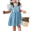 The Wizard Of Oz Dorothy Halloween Sensations Toddler Costume -Toddler Costumes Sales R11812 full 1
