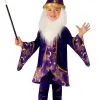 Wizard Infant/Toddler Costume 2 Wizard Infant/Toddler Costume -Toddler Costumes Sales R701882 full 1