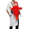 Baby & Me - Chef & Lobster -Toddler Costumes Sales SR30100 full 1