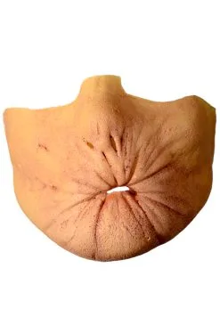 Arseface Appliance Kit